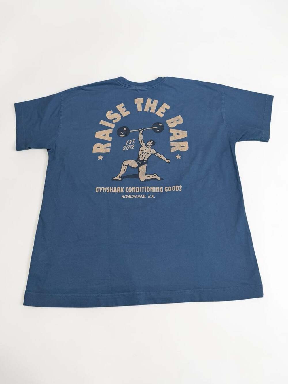 Gymshark Raise The Bar Graphic T-Shirt Blue Size L